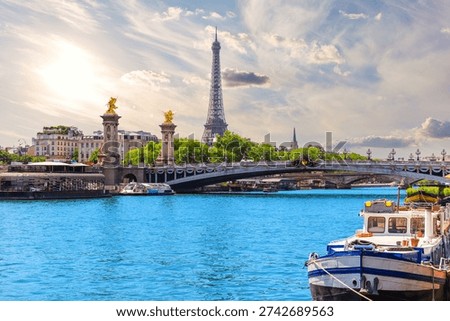 Paris sunset view with Eiffel Tower and Alexandre III Bridge over river Seine, France