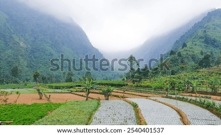 paris van java of dieng