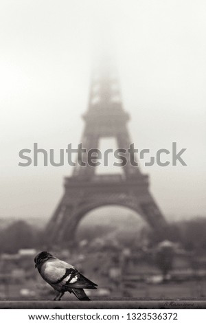 Similar – Image, Stock Photo encore une fois, la tour eiffel !