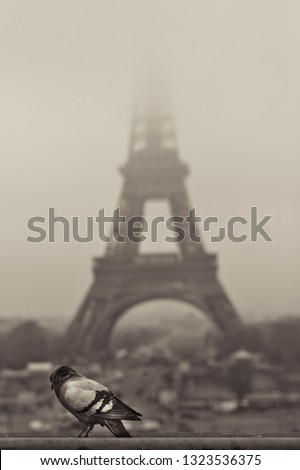 Similar – Image, Stock Photo encore une fois, la tour eiffel !