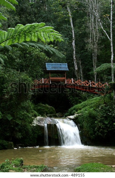Floras Of Parit Falls Cameron Highlands Jambu Jepun Flickr