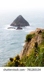 Paritutu Rock, New Plymouth - New Zealand