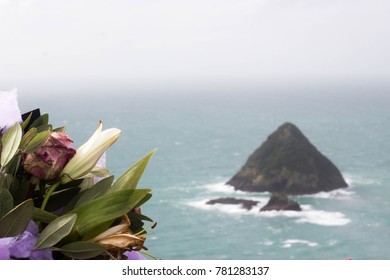 Paritutu Rock, New Plymouth - New Zealand