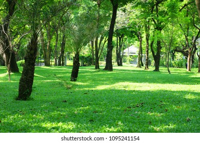 In the park