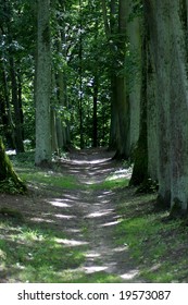 park