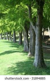 Park