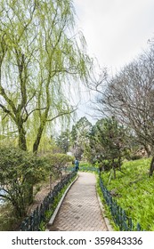 park