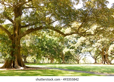 Park