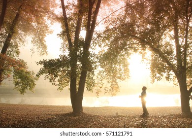 The park