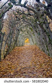 Park