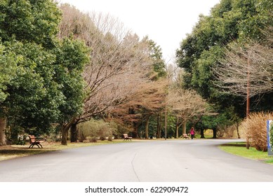 park