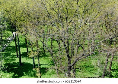 park