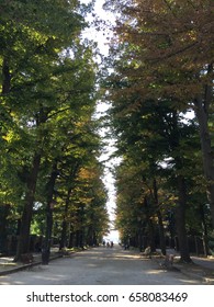 Park