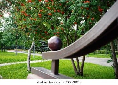 Park