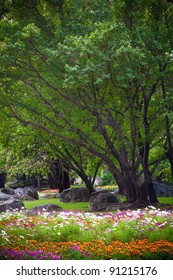 Park