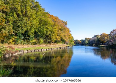 Park in autumn.Autumn landscape background.  - Shutterstock ID 1577668666