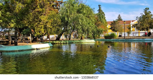 In The Park Of Beja - Portugal