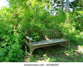 Park bench