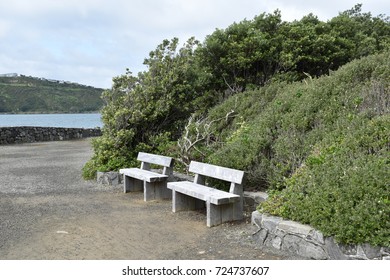 Park Bench