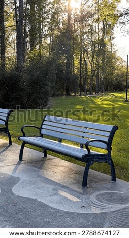 Park bench empty in sunlit green public park.