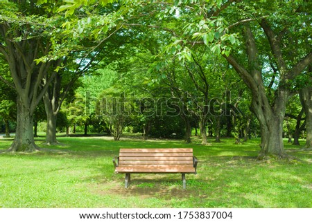 Park bench in the morning