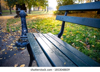 A Park Bench Near The Pool In Central Park, New York City