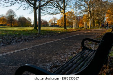 Park bench on fall sunset