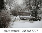 park bench on a winter alley at snowfall. bench with snow after snowstorm or in snow calamity in europe, winter night  photography in city