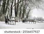 park bench on a winter alley at snowfall. bench with snow after snowstorm or in snow calamity in europe, winter night  photography in city