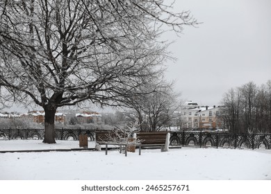 park bench on a winter alley at snowfall. bench with snow after snowstorm or in snow calamity in europe, winter night  photography in city - Powered by Shutterstock