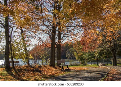 A Park Bench In Rural Ohio In Autumn Sitting By A Path Leading To A Pond. This In Hubbard Valley County Park In Medina, OH.