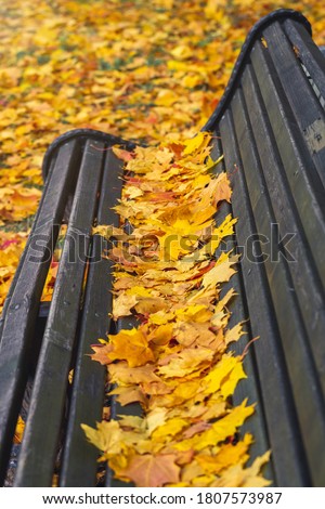 Similar – Schon besetzt Herbst Blatt