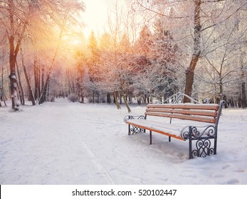 Park bench and trees covered by heavy snow. Lots of snow. Sunset