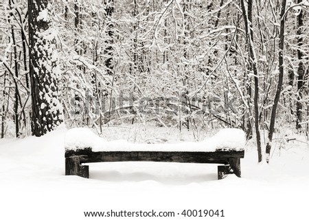 Similar – Image, Stock Photo blow snow Nature Winter