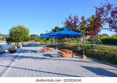 Park Benches And Awnings. Park Shade Umbrella.