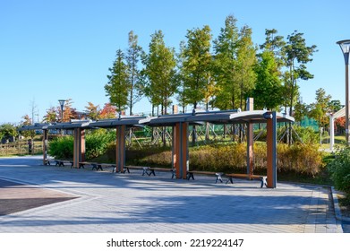 Park Benches And Awnings. Park Shade Umbrella.