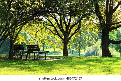 park benches in the city in autumn