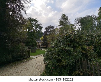 park with big trees and path