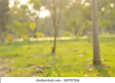 park blurred background.