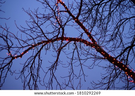 Similar – light chain Winter Tree