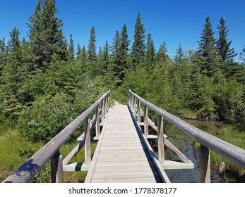 Park Bridge Bow Valley Provincial Park Alberta Canada