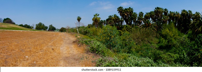 Park By The Santa Ana River