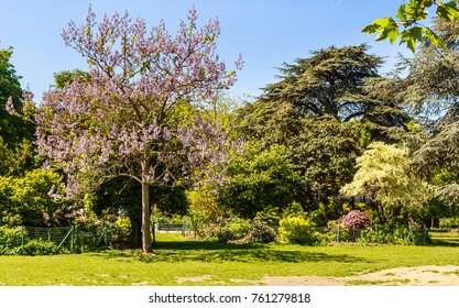 Park Champ De Mars In Paris, France