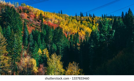 Park City, Utah 
Fall Of 2017