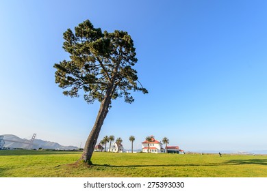 The Park In Crissy Field, San Francisco