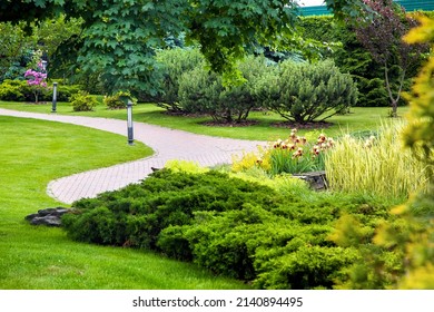 Park With Curved Path Paved With Stone Tiles In Park Among Plants, Evergreen Thuja And Pine Bushes And Foliage Trees Surrounded By Green Lawn With Lantern Iron Ground Garden Lighting, Nobody.