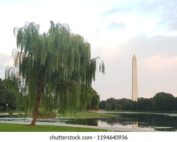 Park In DC With Washinton Monument On The Back, USA