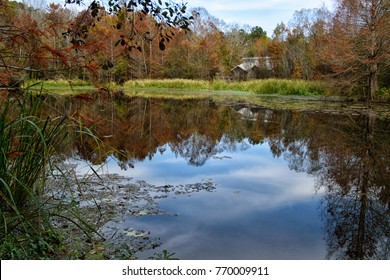 A Park Facility Beside A Quiet Pond At Bogue Chitto State Park, Washington Parish, Louisiana