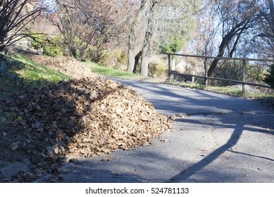 park in fall