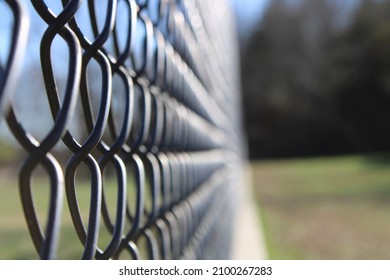 Park Fence Dog Park Outside